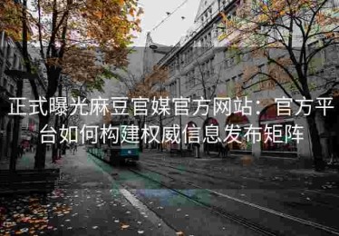 正式曝光麻豆官媒官方网站：官方平台如何构建权威信息发布矩阵