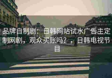 品牌自制剧：日韩网站试水广告主定制网剧，观众买账吗？，日韩电视节目