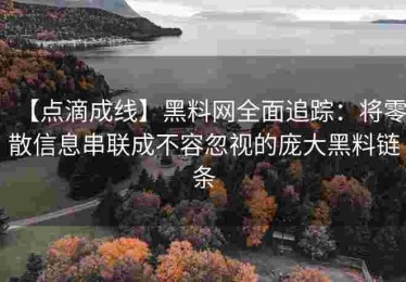 【点滴成线】黑料网全面追踪：将零散信息串联成不容忽视的庞大黑料链条