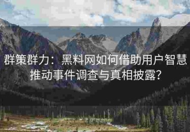 群策群力：黑料网如何借助用户智慧推动事件调查与真相披露？