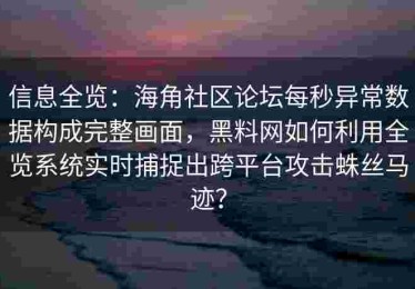 信息全览：海角社区论坛每秒异常数据构成完整画面，黑料网如何利用全览系统实时捕捉出跨平台攻击蛛丝马迹？