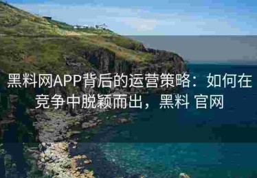 黑料网APP背后的运营策略：如何在竞争中脱颖而出，黑料 官网