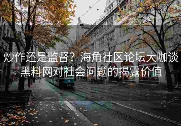 炒作还是监督？海角社区论坛大咖谈黑料网对社会问题的揭露价值