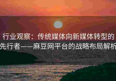 行业观察：传统媒体向新媒体转型的先行者——麻豆网平台的战略布局解析