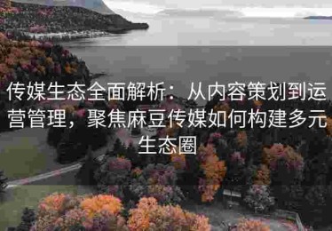 传媒生态全面解析：从内容策划到运营管理，聚焦麻豆传媒如何构建多元生态圈