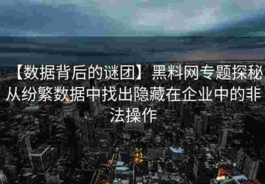 【数据背后的谜团】黑料网专题探秘：从纷繁数据中找出隐藏在企业中的非法操作