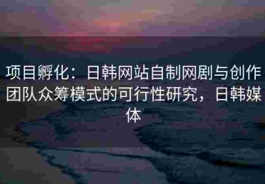 项目孵化：日韩网站自制网剧与创作团队众筹模式的可行性研究，日韩媒体
