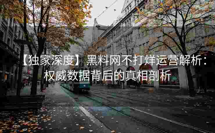 【独家深度】黑料网不打烊运营解析：权威数据背后的真相剖析